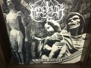 SIGNED x3 Marduk Plague Angel Vinyl Morgan Devo Mortuus Absu Funeral Mist Metal