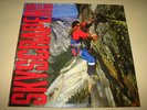 David Lee Roth - Skyscraper LP Vinyl Record NOS 1988 France