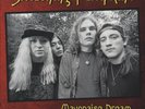 The Smashing Pumpkins Mayonaise Dream LP   Ltd. Ed. of 500   Brand New