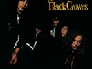 The Black Crowes - Shake Your Money Maker [Used Very Good Vinyl LP]
