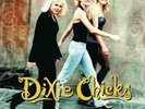 DIXIE CHICKS - WIDE OPEN SPACES (GATE) NEW VINYL