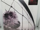 Pearl Jam - PEARL JAM / VS [New Vinyl LP] 180 Gram