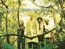 THE DEREK TRUCKS BAND Joyful Noise (SEALED 2xLP VINYL  MOVLP1396)