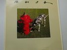 Rush, Signals, Vinyl LP, 6337 243, 1982 UK pressing, Inner, Masterdisk,  EX+/EX+