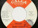 JOHNNY THUNDER I’m Alive / Verbal Expressions CALLA 45 psych soul VG++ HEAR