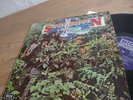 SAVOY BROWN A STEP FURTHER 70s UK DECCA Lp Blues Rock