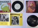 DINOSAUR Jr RARE WTF 7