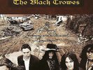 The Black Crowes ?? The Southern Harmony And Musical Companion VINYL LP RECORD