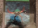 Vangelis Lp SEALED Soil Festivities 1984 New Original Press