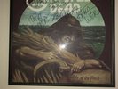 Rare Grateful Dead Band Autographed Signed Wake Of The Flood Album LP Vinyl COA