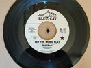 Let The Music Play : Didi Noel : Blue Cat promotional copy
