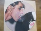 Blondie PARALLEL LINES Vinyl LP Picture Disc USA 1978 Original Ltd Edition EX