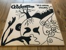 CELEBRATION old green village VERY RARE FOLK LE KIOSQUE D`ORPHEE acid LP