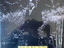 Alain BASHUNG  