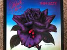Thin Lizzy - Black Rose - Vinyl - 9102 032 - 1979 -  Vertigo