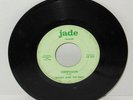 1967 Randy and The Rest Birmingham Alabama Psychedelic Rock Garage Band 45 rpm