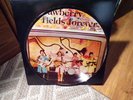 THE BEATLES STRAWBERRY FIELDS PICTURE DISC