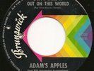 Adams Apples - Don't Take it Out On This World - Brunswick  - N / Soul / Mod