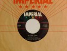 BURNETTE BROTHERS   Warm Love / My Honey   IMPERIAL ROCKABILLY VG ++ 45 Hear