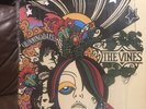 The VINES winning Days LP Vinyl