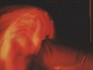 COUGH - Still They Pray [VINYL]