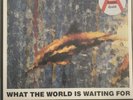 THE STONE ROSES WHAT THE WORLD IS WAITING FOR 7