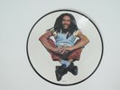 Bob Marley - 7 Inch Picture Disc - Could You Be Loved / No Woman No Cry