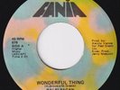 RALFI PAGAN Wonderful Thing / To Say I Love You LATIN sweet soul modern LISTEN
