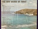 KAY WEAVER & RALPH LOWE The Now Sounds Of Today LP PRIVATE Song Poem SHRINK Rare
