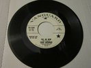 FERRE GRIGNARD Tell Me Now / The Pirate Song PROMO folk psych VANGUARD