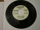 THE NEW YORKERS Seeds of Spring / Mr Kirby PROMO psych fuzz garage SCEPTER