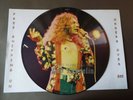 LED ZEPPELIN THE CHRIS TETLEY INTERVIEWS PICTURE DISC LP CT 1004