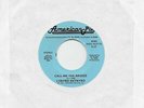 LYNYRD SKYNYRD  Call Me The Breeze / Gimme Three Steps  rare 45