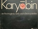THE SPONTANEOUS MUSIC ENSEMBLE Karyobin VINYL LP Original 1968 Island 1st