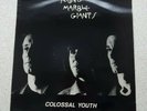 Young Marble Giants Colossal Youth Vinyl LP Rough Trade 1980 Indie Pop Rock