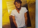 ANDY GIBB - Greatest Hits (Vinyl LP) 1980 RSO RX-1-3091 NM/NM (Clean )