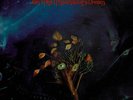 The Moody Blues 
