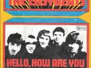 THE EASYBEATS 45 HELLO HOW ARE YOU+PS GERMANY RARE 1968