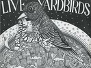YARDBIRDS - LIVE YARDBIRDS FEATURING JIMMY PAGE
