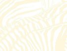 Beach House ?– Teen Dream CLEAR VINYL 2LP LRS LOVE RECORD STORE