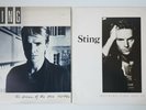2 x Sting Vinyl LP Bundle ...Nothing Like The Sun Dream of Blue Turtles VG+/EX