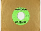 Deep Soul 45 - Paul Mitchell Trio - Now That I Know What Loneliness Is - T&L VG+