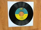 We The People - Making My Daydreams Real/Whatcha Done For Me - Lion Records