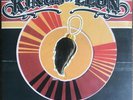 RARE Kings Of Leon - What I Saw EP 10” Blue Vinyl