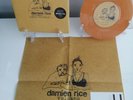 Damien Rice - VOLCANO 7