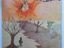 EDUARDO ARAUJO Sou Filho Desse Chao ORIG BRAZIL FUNK PYSCH ROCK LP