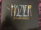 HOZIER In The Woods Somewhere 10
