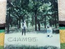 CHAMPS III  Double Vinyl Lp Gatefold w/ Insert (Fucking Champs)