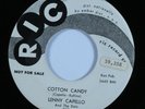R&B Rocker 45 LENNY CAPELLO Cotton Candy RIC promo HEAR