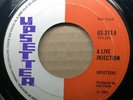 UPSETTERS  